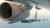 러시아 전투기 Su-35 플랭커-E가 미국 해군의 해상초계기 P-8A 가까이 날고 있다. 이렇게 근접비행할 경우 충돌할 가능성이 있다. [사진 미 해군]