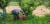 과수화상병이 발생한 충북 충주시 산척면의 한 과수농가에서 26일 산림조합 관계자들이 전기톱으로 사과나무를 자르고 있다. [사진 충주시]