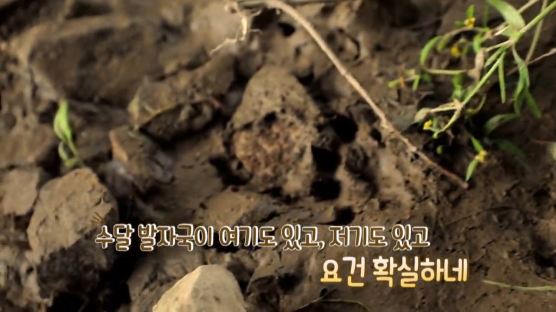 삼성전자 유튜브에 천연기념물 '수달'이 등장한 이유?