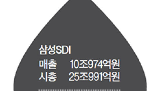 삼성SDI 시총이 매출 5배 SK이노의 2.2배…석유의 눈물