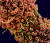 미국 국립 알레르기전염병 연구소에서 염색하고 전자현미경으로 촬영한 신종 코로나 바이러스의 모습. EPA=연합뉴스