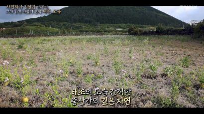 바람을 찍은 작가 바람을 닮은 사내, 고 김영갑을 추억하다