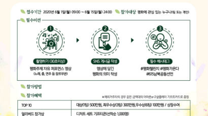 ‘6.15 남북공동선언 20주년 기념 대국민 온라인 이벤트 ‘평화챌린지’ 진행