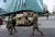 미국 워싱턴 주 방위군이 2일 백악관 인근 거리를 순찰하고 있다. [AFP=연합뉴스]