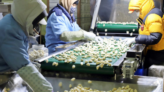 과잉생산이 되레 기회…국산마늘 미국·대만 본격 수출길