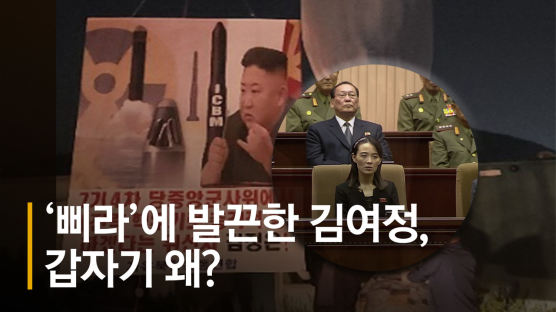 [영상]"대북전단 방치땐 최악"···김여정 엄포엔 '공포' 비친다