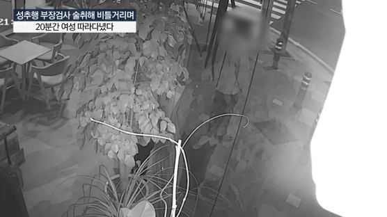 햄버거 가게까지 쫓아가 성추행···CCTV속 부장검사 추태 20분