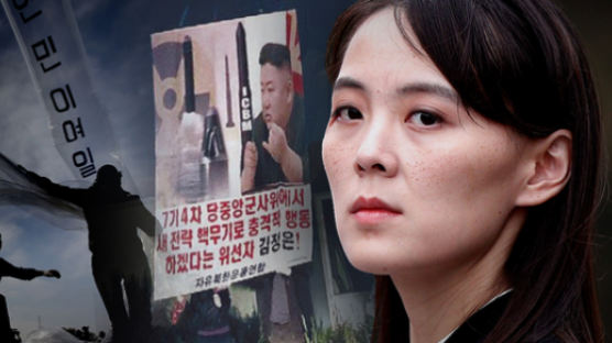 '대북전단 금지법' 만드려는 정부…5년전 인권위는 "인권침해"