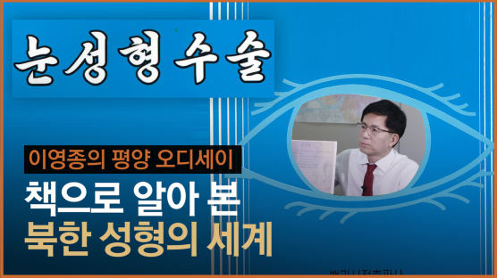 [영상] '마취않고 수술' 사실일까...신박한 북한 성형의 세계
