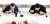 문재인 대통령과 김정은 북한 국무위원장이 2018년 9월 19일 평양 옥류관에서 오찬을 하고 있다. 평양사진공동취재단