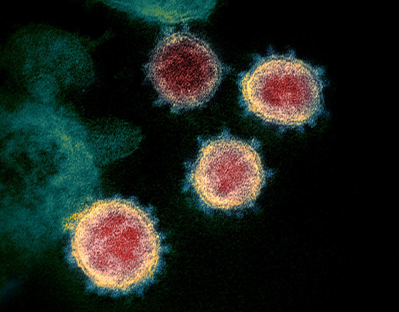 신종 코로나바이러스 감염증(코로나19) 바이러스. 중앙포토