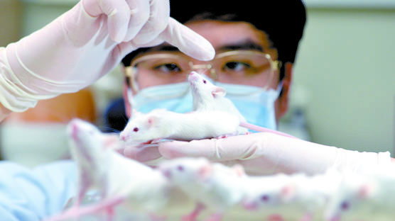 실험실 희생 동물 371만마리…40%가 극심한 고통 'E급' 겪어