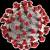 코로나19 바이러스 구조를 나타내는 모델. 붉은색 대못처럼 생긴 스파이크 단백질이 사람 세포막에 있는 효소들과 결합해 세포 내로 침투하게 된다. 중앙포토.