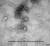 중국 우한 코로나바이러스 전자현미경 사진. 질병관리본부 제공
