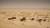 사막화된 아랄해 위에 버려진 배들이 있다. 미 항공우주국(NASA)