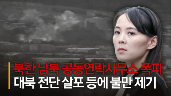 폭탄 든 그녀, 김여정…10년전 김정은 '세자 책봉'과 닮았다
