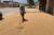 중국 허난성 주마디엔시에서 한 인부가 밀을 고르고 있다.[NPR 캡처]