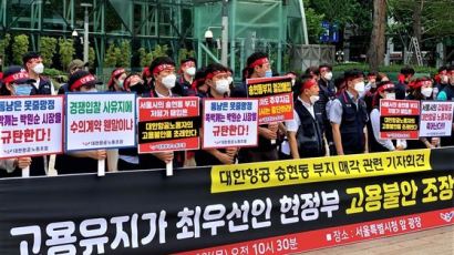 주민들은 대한항공 편 들었다···"송현동 그 땅 공원화 반대"
