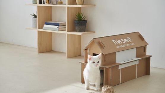 TV 포장재로 고양이집 만들고, 새벽 배송 아이스팩은 화분 영양제로