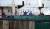 코로나19 확진자가 무더기 나온 러시아 선박 아이스스트림호가 부산 감천항에 정박 중인 가운데 음성 판정을 받은 선원들이 선박에 머물러 있다. 송봉근 기자