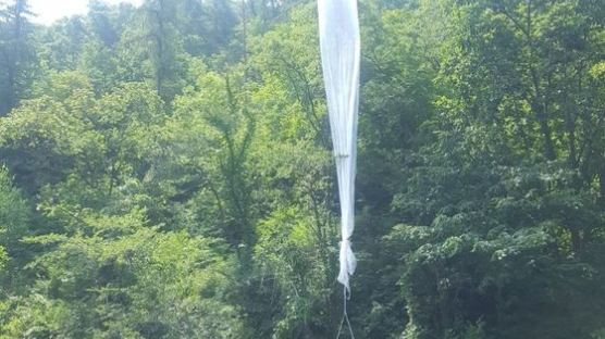 대북전단 신고자 "김정은·김여정 얼굴 보여 北서 날아온 줄"