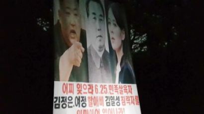 탈북단체 "어젯밤 파주서 대북전단 50만장 뿌렸다"…군경 확인중