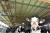 경북 포항시 전역에 폭염주의보가 발령된 지난 10일 오후 북구 기계면 젖소 농장 우사에 있는 소들이 대형 선풍기 아래에 모여 더위를 식히고 있다. 뉴스1