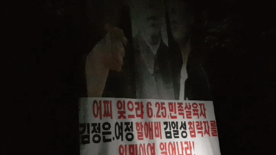 탈북단체 “대북전단 50만장 뿌렸다”…증거로 내민 한밤 영상