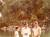 김장환 목사가 이스라엘 요단강에서 칼 파워스씨와 아들 김요한(현재 대전에서 목회)에게 침례를 하고 있다. [사진 극동방송] 