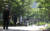 전국이 찌는 듯 더웠던 지난 23일 서울 마포구 경의선 숲길에서 양산과 모자를 쓴 채 산책하는 시민들. 28일 일요일은 전국이 맑고 더울 것으로 보인다. 연합뉴스