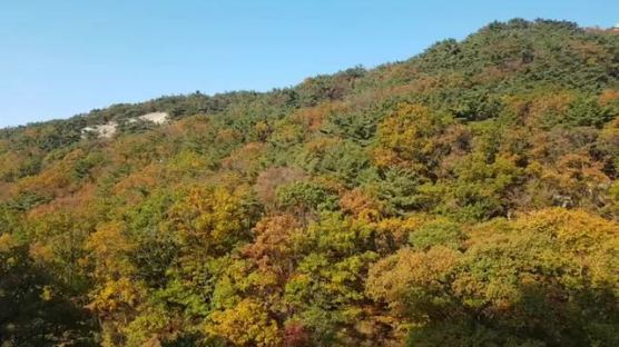 북한산국립공원 비경 ‘우이령길’ 탐방 쉬워진다…7월 1일부터