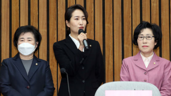 ‘안철수계’ 김수민 전 의원, 통합당 홍보본부장 맡는다