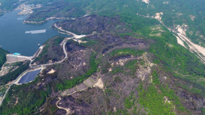 산림 123㏊ 잿더미…고성 산불 원인은 부실시공 화목보일러