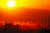 미국 캘리포니아의 셰일 채굴 장면. 코로나19에다 셰일 업계의 고질적 문제로 인해 셰일 혁명도 해가 지고 있다는 분석이 나온다. [AFP]