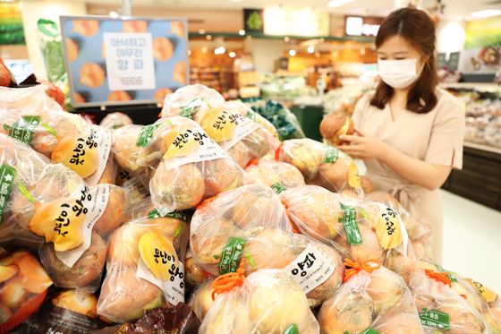 매일 먹는 양파, 일본 종자였다···한국 종자로 바꾸니 가격 뚝
