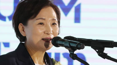 "김현미 전북지사설은 구문···부총리·경기지사 갈수 있는데 왜"