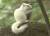 색소 부족으로 온몸이 흰색인 '알비노' 개체는 야생에서 가끔 발견되는 희귀동물이다. 사진은 2015년 7월 북한산에서 포착된 알비노 다람쥐. 자료 국립공원공단