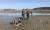 지난 3월 22일 충남 서천군의 갯벌에서 조개를 채취하다 발이 빠져 나오지 못하던 40대 여성을 출동한 해경이 구조하고 있다. [사진 해양경찰청]
