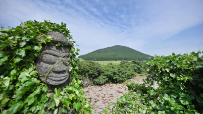 빅데이터로 본 제주 관광…코로나 영향에 생태 관광지 '인기' 