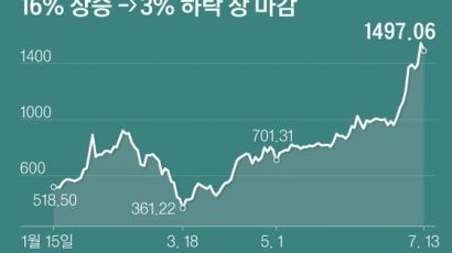 간밤 3% 떨어진 테슬라, 지금 들어가? 美개미 '줍줍' 잘 살펴야