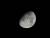 어느 그룹의 총수는 ’달을 보라고 가리켰더니 달은 안 보고 내 손가락 끝만 보더라“라며 한탄했다. [사진 pixabay]