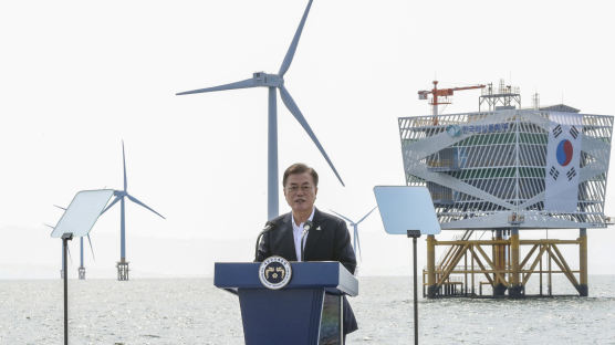 문 대통령, '그린뉴딜' 첫 행보 "2030년 세계 5대 해상풍력 강국 도약"