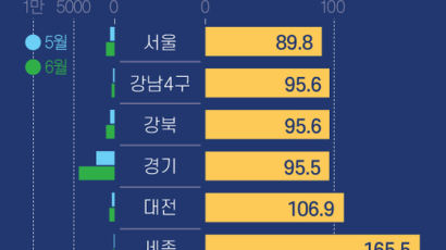 ‘패닉 바잉’ 사실이었다…6월 주택 거래 전달보다 서울 90% 경기 96% 폭증