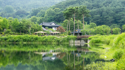 불볕더위도 쉬었다 갈 『혼불』 명당