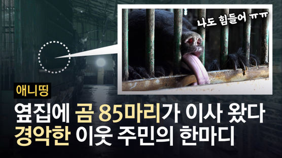 여주 공포로 만든 곰 85마리…머리 흔들며 이상행동하는 까닭