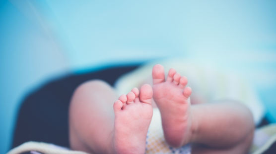광주 쌍둥이 신생아 선천성 결핵…엄마에게 감염 국내 첫 사례