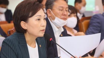 김현미 “이스타항공, 법정관리 신청할 듯…고용노동부와 후속 조치 마련”