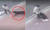 지난 25일 서울시 은평구 불광동에서 검은 대형견 로트와일러가 흰색 소형견 스피츠를 물어 죽이는 사고가 발생했다. [사진 유튜브 캡처]