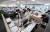 지난 3월 23일 오후 세종시 정부세종청사 해양수산부 직원들이 거리를 두고 앉아 근무하고 있다. 연합뉴스