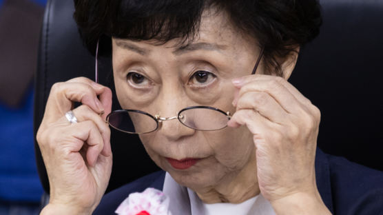 서울시 15년 만에 인권위 조사받아···단독 조사 대상된건 처음